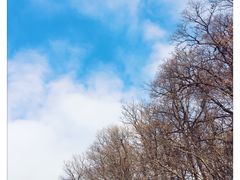 -大水川景区