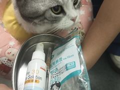 -半岛宠物医院24小时(科华中路店)