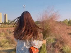 -映月湖中央公园