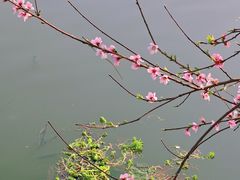-月湖风景区