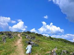 -齐岳山