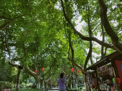 -杭州黄龙洞