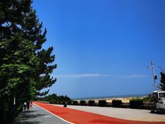 -日照海滨国家森林公园
