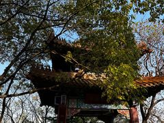 -阅江楼风景区