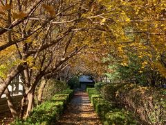 -四门塔风景区