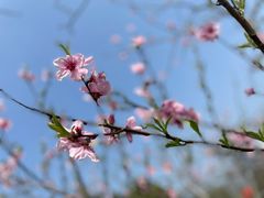 -苏州上方山国家森林公园
