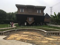 -金山农民画村-枫泾波兰倒置屋