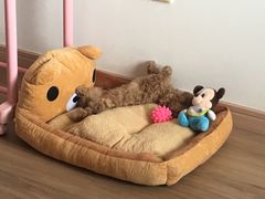 -邢大夫动物医院