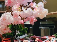 极上樱舞拼盘-樱宿日式和牛烧肉(五道口店)