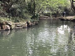 -兰亭风景区