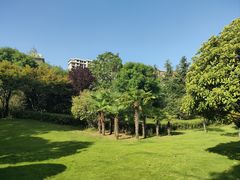 -南阳建业森林半岛假日酒店