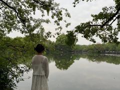 -西湖游船