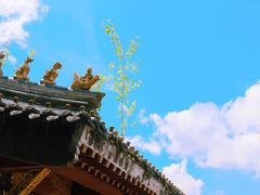 -冕宁灵山寺