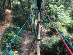 -芦仙山景区-飞越丛林探险乐园