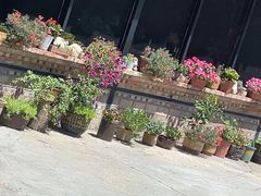-遇见小院—虹鳟鱼•农家菜(怀柔店)