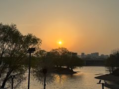 -长白岛森林公园