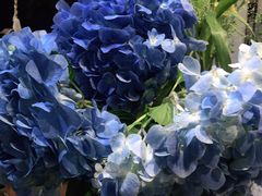 -Libra Flora花店(骆岗中央公园店)