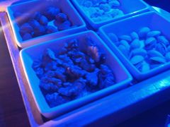 -MARU玛露音乐餐厅(大学路店)