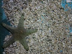 -重庆欢乐海底世界