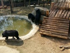 -泉州海丝野生动物世界