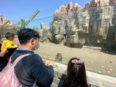 -大青山野生动物园