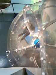 -北京科学中心儿童乐园