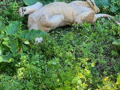 -哈尔滨北方森林动物园