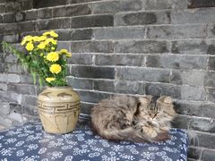 -老屋咖啡