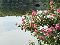 -成都南湖公园