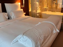 -广州白云机场雅高铂尔曼大酒店