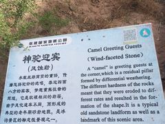 -冰沟丹霞旅游景区