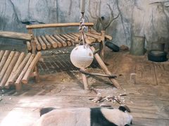 -深圳野生动物园
