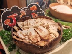 -季季山•云南野生菌火锅(上海首店)