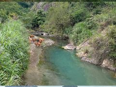 -楠溪江风景名胜区