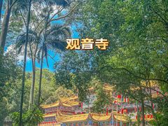 -东莞市大岭山森林公园