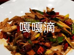 -鼎原力量东北吊炉烧烤(幸福街店)