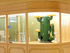 -帕帕拉兹宠物(亚洲旗舰店)