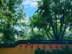 -龙华寺
