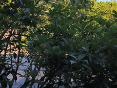 -故乡缘·香格里拉山庄(冷竹路店)
