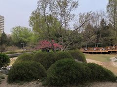 -元大都城垣遗址公园