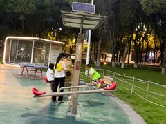 -重庆市江北嘴中央商务区中央公园