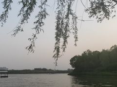 -大兴滨河森林公园