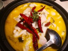 青花椒酸菜鲈鱼汤饺-船歌·鱼水饺青岛菜(闽江二路店)