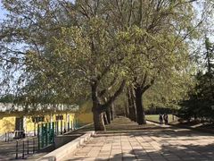 -大连理工大学(凌水校区)