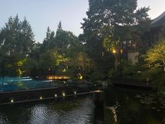 -杭州西子湖四季酒店-WL BISTRO西湖餐厅(灵隐路店)