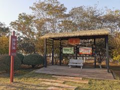 -滨湖塘西河公园