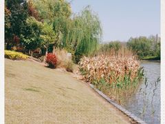 -南翔镇银翔湖公园