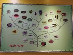 -上海昆虫博物馆