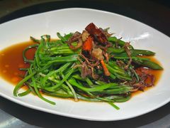 -菌自由丨野生菌火锅特色庭院餐厅(丽江古城店)