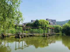 -长兴太湖图影湿地文化园